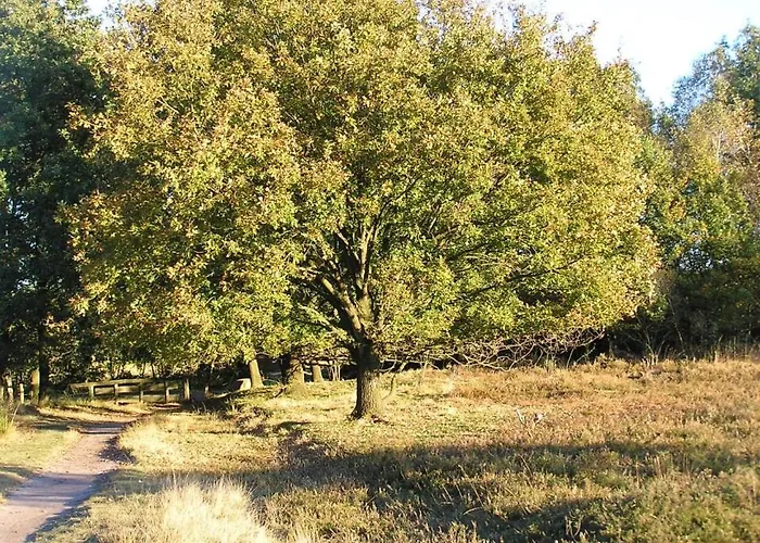 Апартаменты City-apparte One Zentrales & Komfortables Wohnen In