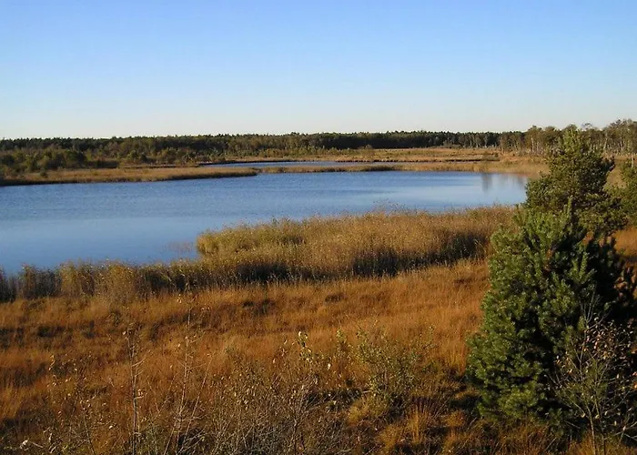 City-apparte One Zentrales & Komfortables Wohnen In *